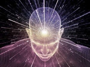 Inicio Macerox GLANDULA PINEAL